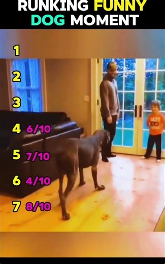 Runking Funny Dog Moments 🐶😂🔥