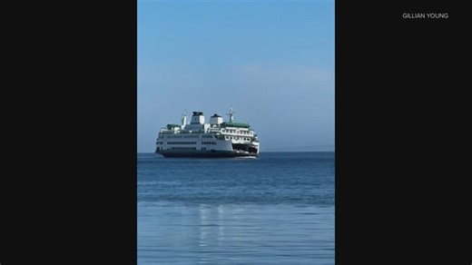State ferry caught on video rocking back and forth following 'very large' wake