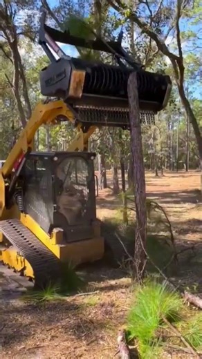 This Machine Destroys Trees Like Butter 😮🌲