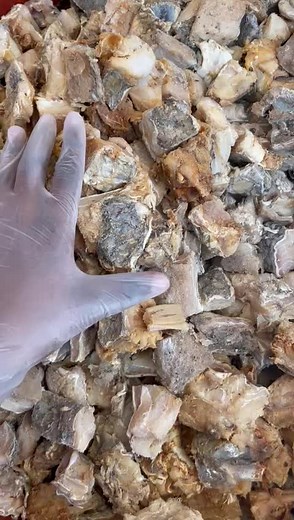 Exploring Fish Bones: A Close-Up Interaction