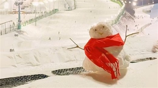 Your snowman through the eyes of AI