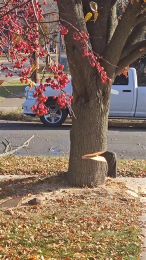 Just one Highlight moment from our Men's Breakfast and Morning Work Project! | Ridgeway Church