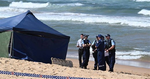Tragic death in rare attack amid shark net rethink