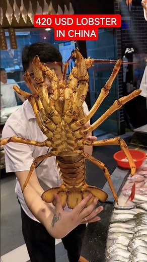 The INSANE Size of the Biggest Lobster Ever Caught