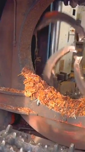 #machinecutting #trees #treestump #woodworking #treework #machinework | Wood Colection