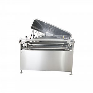 [Hot Item] Ce Tyj Chocolate Enrober Machine (TYJ600) Maker Snack Machine