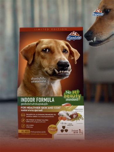 ถ้าจะเป็นพรีเซนเตอร์ต้องน่ารัก งั้นหมาแมวทุกตัวบนโลกนี้ก็เป็นพรีเซนเตอร์ของเราได้ เพราะสำหรับเรา หมาแมวทุกตัวน่ารัก “Kaniva No Pet Beauty Standard Limited Edition Pack” พรีเซนเตอร์แก๊งใหม่จากคานิว่าที่จะทำให้คำว่า Beauty Standard ในหมาแมวหมดไป หาซื้อได้แล้วที่ร้านเพ็ทช็อปที่ร่วมรายการ หรือช่องทางออนไลน์ *ตั้งแต่วันนี้เป็นต้นไป (หรือจนกว่าสินค้าจะหมด) #kanivanopetbeautystandard #ความรักที่ให้หมาแมวไม่เคยมีBeautyStandard