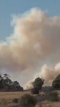 Australian Bushfire Seen from Space