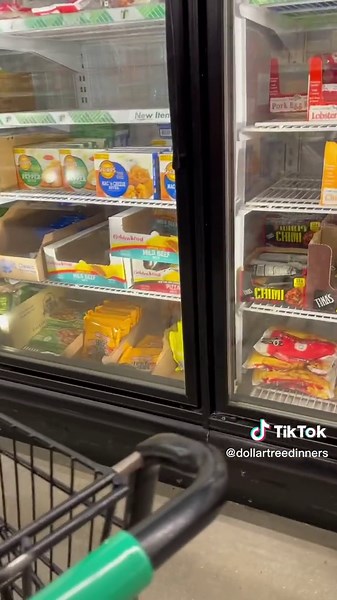 $20 Gluten Free Dollar Tree Grocery Haul #dollartreedinners #dollartree #dollartreefood #groceryhauls #groceryhaul #dollartreehaul #glutenfree