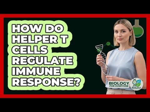 How Do Helper T Cells Regulate Immune Response?