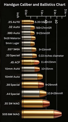 The Ultimate Bullet Lineup – From Smallest to Deadliest!” #shorts
