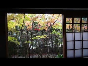 京都の紅葉・源光庵さん