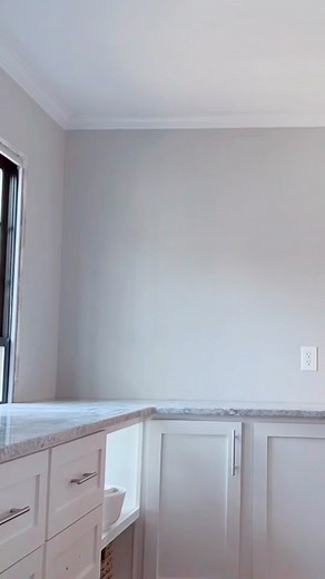 No pantry so I built a ton of drawers! #apothecary #kitchendesign #kitchenrenovation