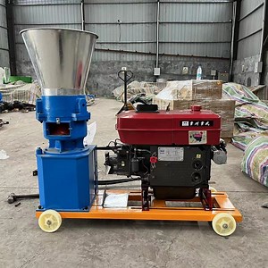 [Hot Item] Diesel Pellet Machine Wood Pellet Feed Pellet Machinery for Sale with Cheap Price