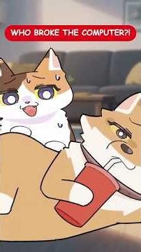 Who Broke the Computer? 😼