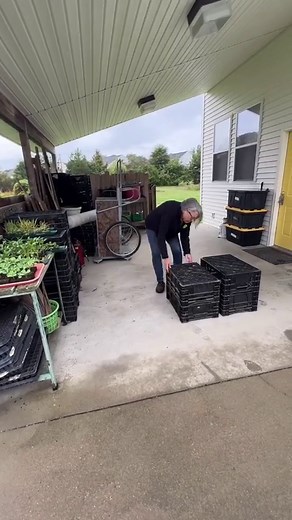 5.5K views · 92 reactions | A spring garden in the making. These will...