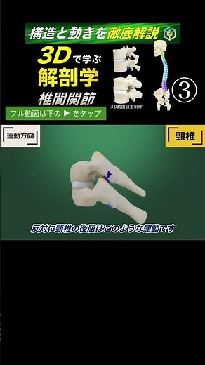 Cervical flexion, extension, and lateral flexion [Thorough explanation in 3D] The secrets of coup...