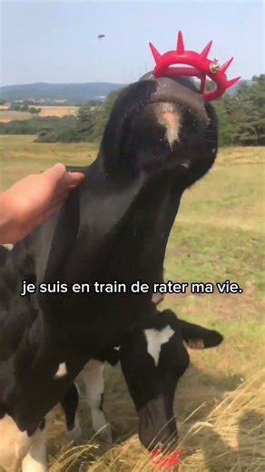 Je suis une merde… #motivation #devperso