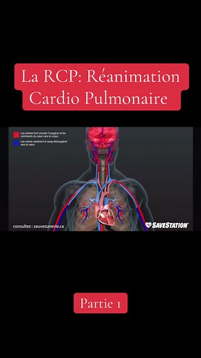 La RCP (Réanimation cardio pulmonaire) est réalisée quand une personne est inconsciente et ne respire pas normalement. Chaque minute sans massage diminue fortement les chances de survie. Les étapes clés (logique ARC / AMD) \t•\tA / Alerter : vérifier la conscience, appeler les secours (15 / 112) \t•\tR / Respiration : vérifier si la personne respire \t•\tC / Circulation → Massage cardiaque immédiat 👉 En pratique grand public : Alerter – Masser – Défibriller Comment faire une RCP efficace (adult