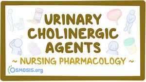 Cholinergic therapy (GU): Nursing pharmacology: Video, Causes, & Meaning | Osmosis