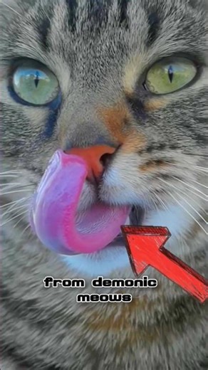 4 Cat Sounds You Didn’t Expect 😹 #catsounds #catvideos #viralshorts