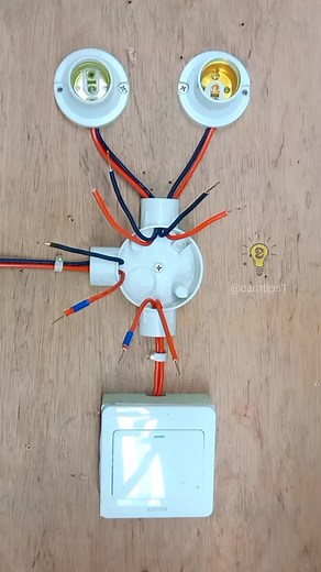 Gang Switch Control for Lights: Electrical Wiring Guide