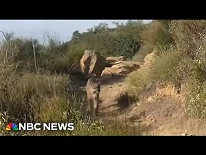 Video shows California hiker face-to-face with mountain lion