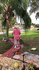 4.3K views · 545 reactions | So I went out to check on Deb….she has...