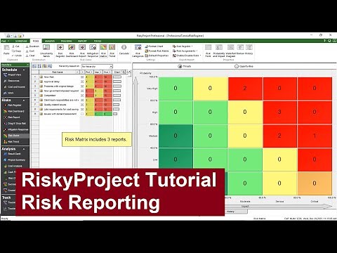 RiskyProject Tutorial: Risk Reporting