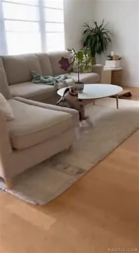 How To Control The World