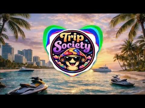 “Tonight We Lose Control” (Electronic House Remix) | DJ Trippie | Festival EDM Banger 2026