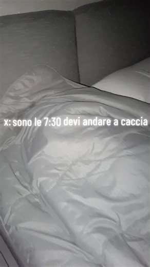 Caccia ai Cinghiali: La Passione Della Mattina