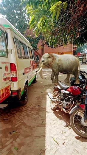 laundiya London se laenge Raat Bhar DJ bajayenge