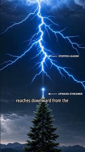 The Science of Lightning