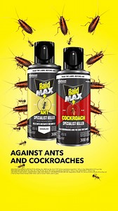 Put a stop to your home becoming a Gogga’s forever home with Raid’s instant kill, long-lasting duration protection against ants and cockroaches. Evict the pests and make sure your home is all yours ⚡️ | Raid