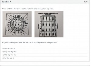 The codon table below can be used to predict the outcome of gen... | Filo