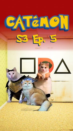 Croissant Cat on Instagram: "CATéMON SEASON 3 EP. 5 pt 1 - Croissant’s adventure takes an interesting turn!! Can they win…or survive?? 🦑🥐🎡 #catemon #pokemon #backrooms #squidgames britishshorthair #goldencroissantcat #croissantthecat #croissantcat"