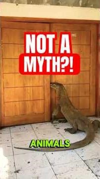 Mythical Creatures… That Were Actually Real