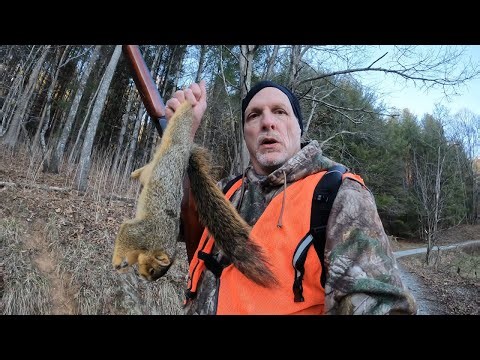 Hunting GIANT NC Mountain Fox Squirrels