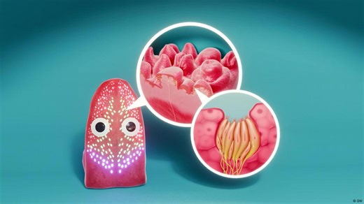 The tongue - what’s it doing in your mouth?