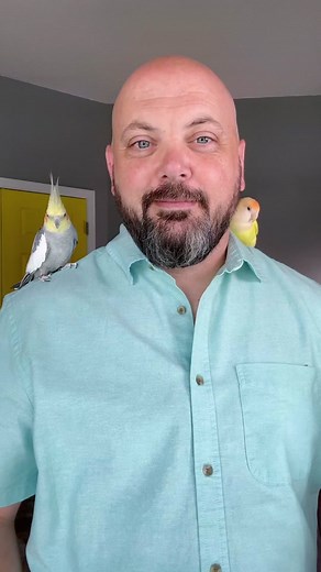 Are your little birds stuck on an all seed diet? Here is a tip to help incorporate pellet into their diet. #parrot #petbird #cockatiel #lovebird #budgie #conure #birdfood