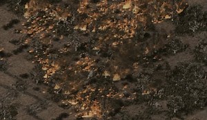forest fire video - Tiberian War: WarZone mod for C&C: Tiberian Sun Firestorm