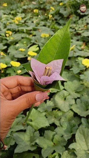 how to make cute mini bouquet 🌸✨#bouquet #diy #nature #explore #art