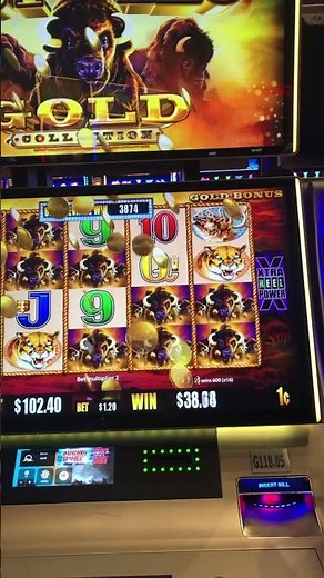 NICE WIN on BUFFALO GOLD slots at Tulalip Casino!