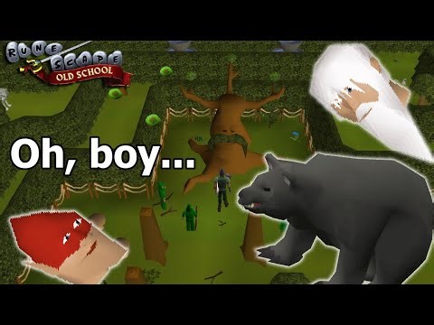 Gnomes, Druids and Bears | OSRS Blind-ish Ironman (S2/2)