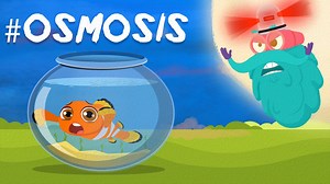 Welcome to a BRAND NEW SEASON of the DR. Binocs show. Have you ever wondered how osmosis works? Why and how does that happen? Watch this video by DR. Binocs to learn HOW OSMOSIS WORKS ! Keep commenting your answers to win a shout out in the next video | Peekaboo