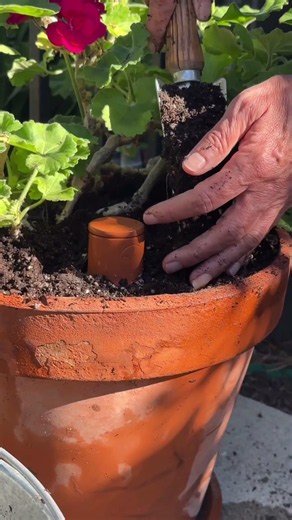 The easiest way to water your plants