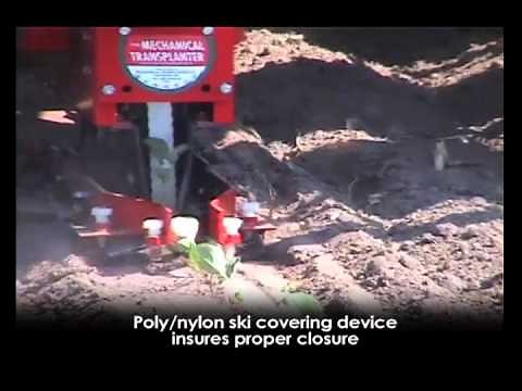 Mechanical Transplanter Model 5000