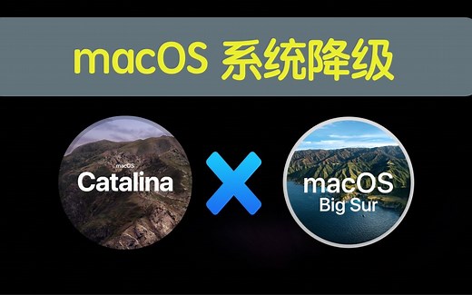 macOS 降级方法：Big Sur 如何降级到 Catalina？