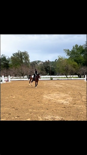 Hunter Jumper at Brookway Stables | Equestrian Training